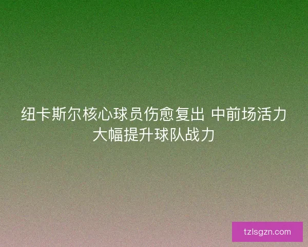 纽卡斯尔核心球员伤愈复出 中前场活力大幅提升球队战力
