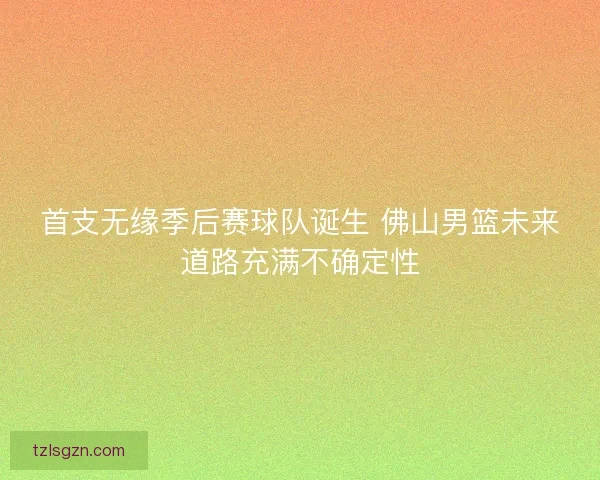 首支无缘季后赛球队诞生 佛山男篮未来道路充满不确定性 首支无缘季后赛球队诞生 佛山男篮未来道路充满不确定性
