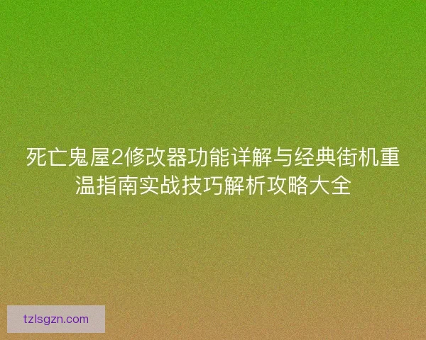死亡鬼屋2修改器功能详解与经典街机重温指南实战技巧解析攻略大全